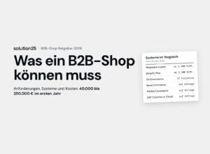 B2b Onlineshop Aufbauen Titelbild 300x221