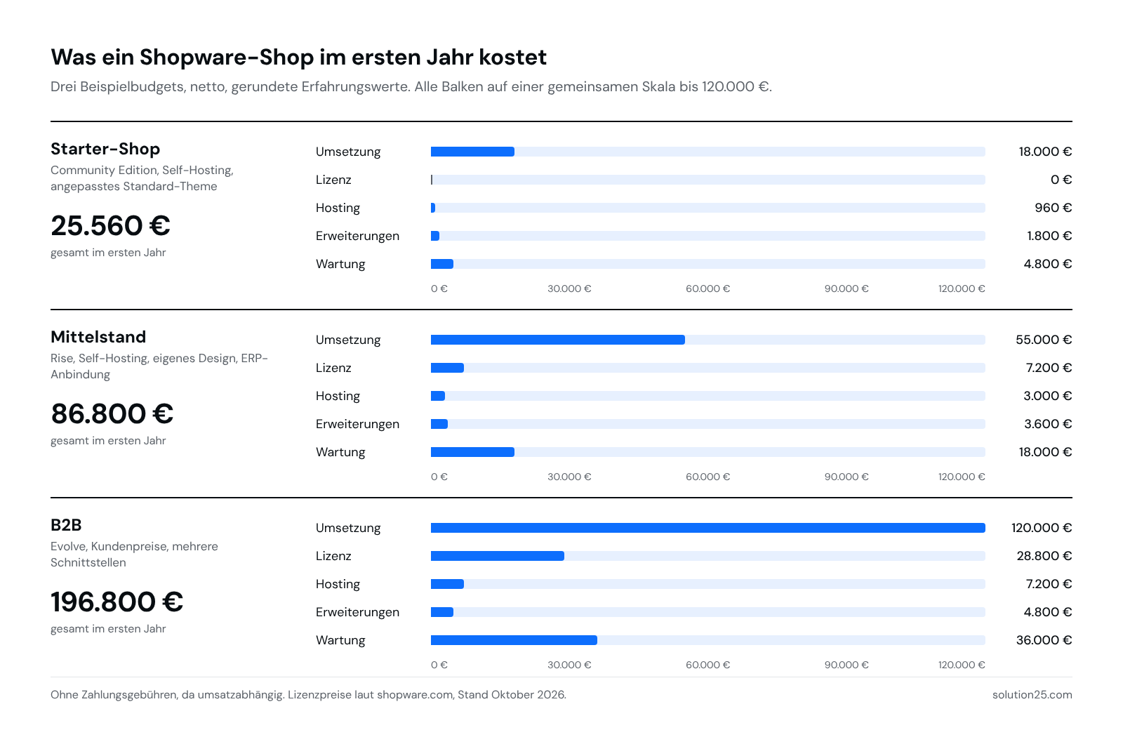 Shopware Kosten Beispielbudgets Erstes Jahr