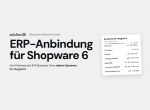 Shopware Warenwirtschaft Titelbild 300x221